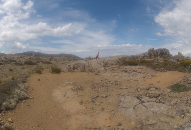 10300206_10204765688853965_8246008226930745885_n